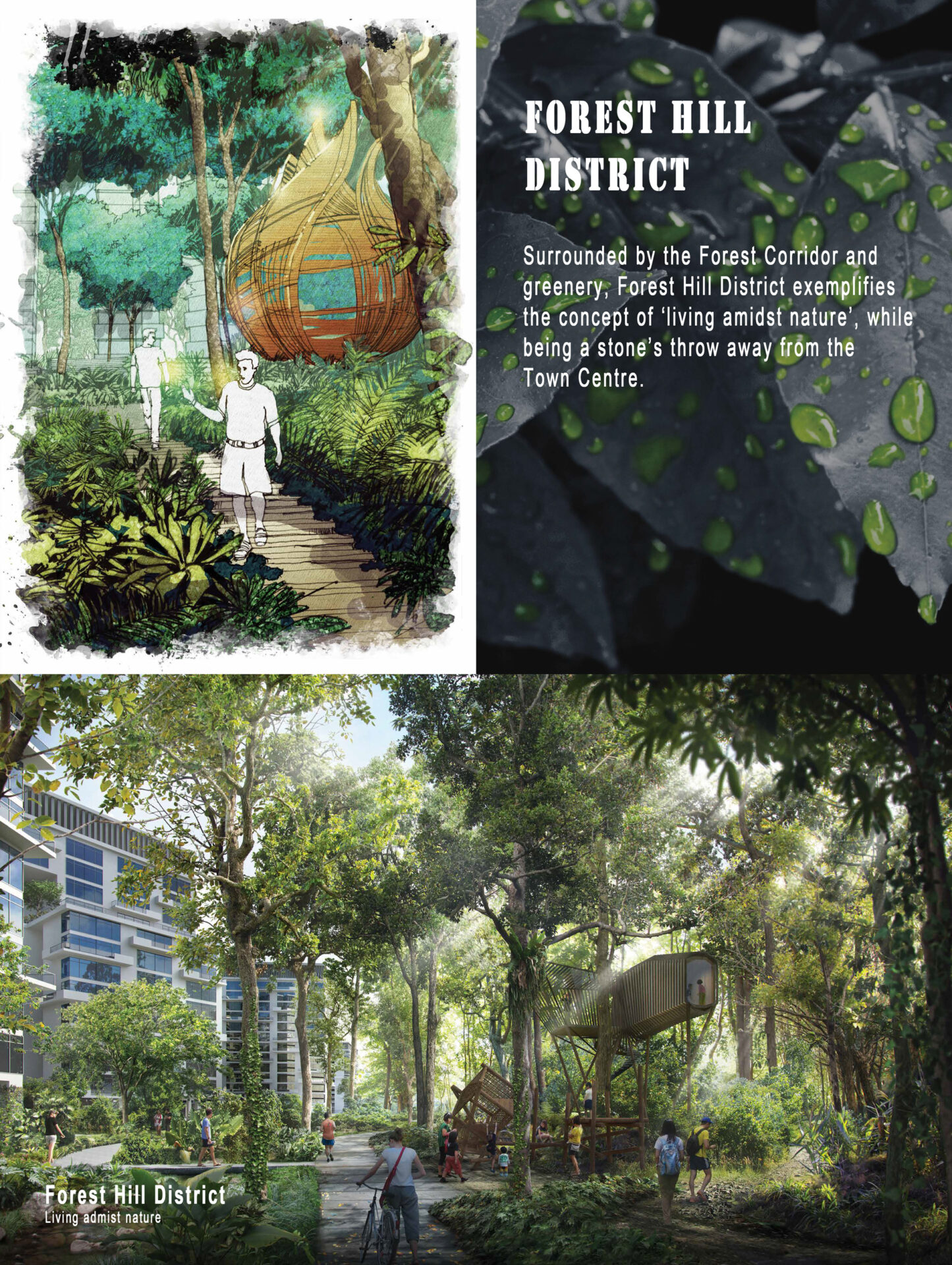 Forest Hill District Forest Hill District