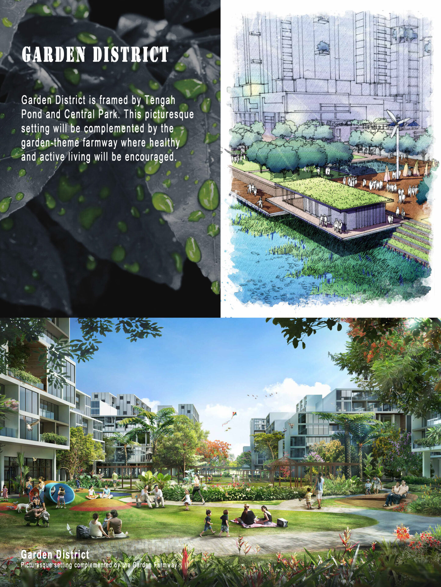 Garden District Garden District