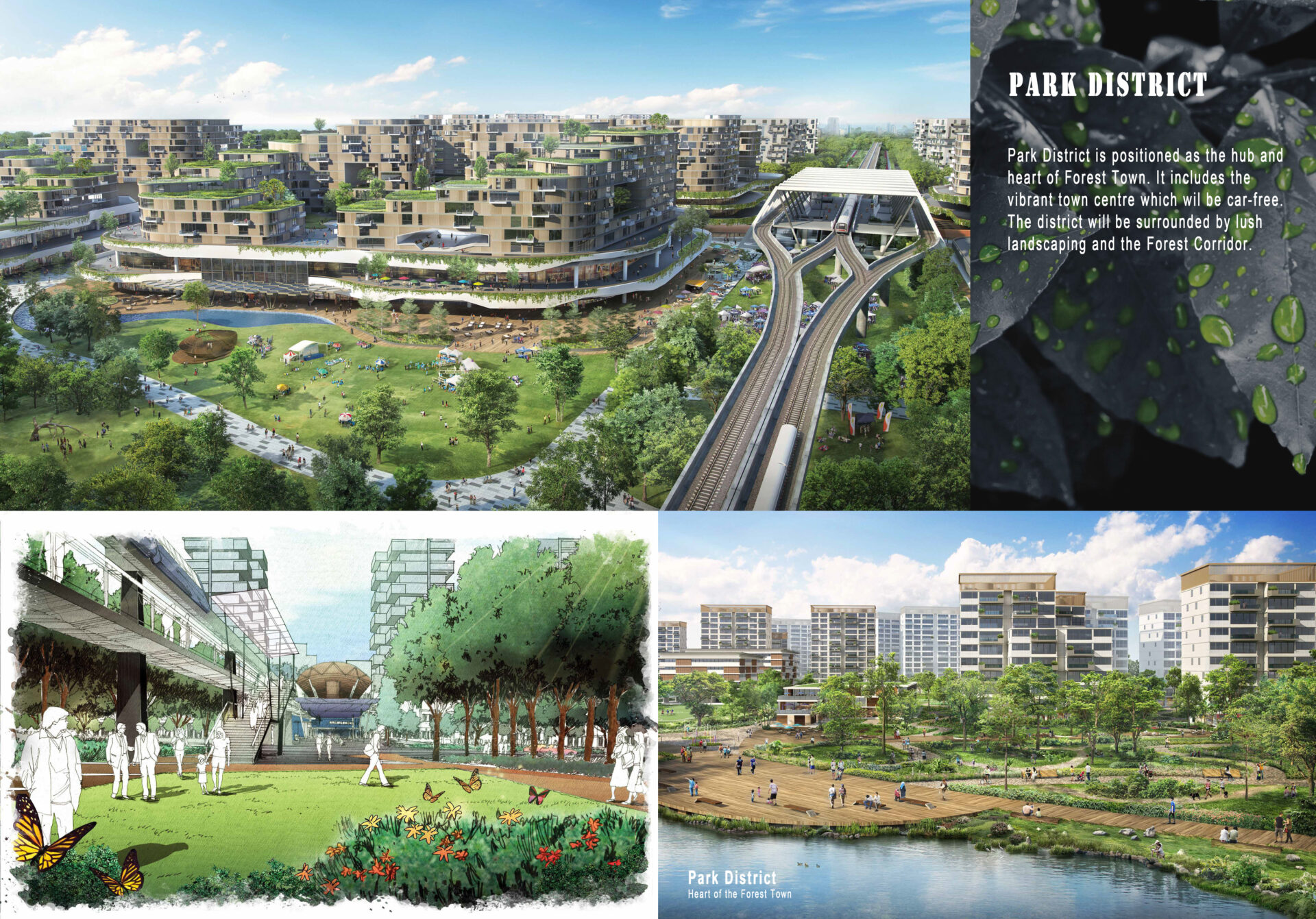 Park District Park District