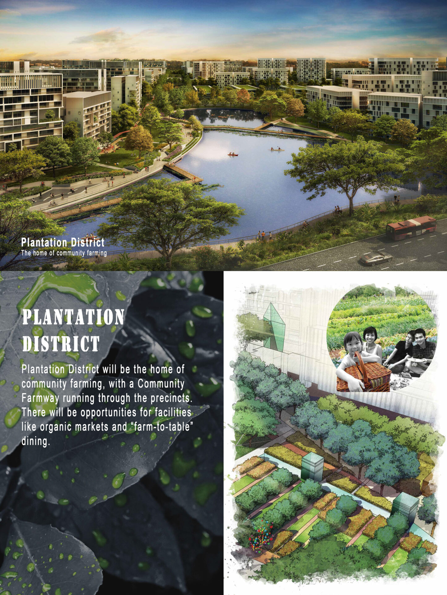 Plantation District Plantation District